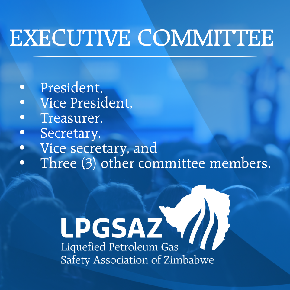 EXECUTIVE COMMITTEE